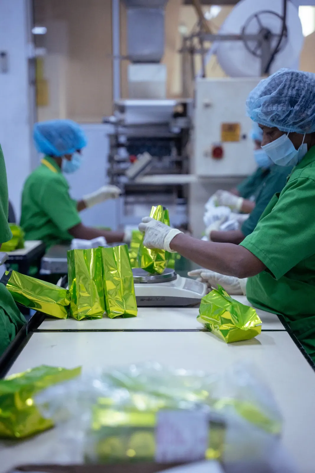CTPE staff hand-packing tea pouches on the production line